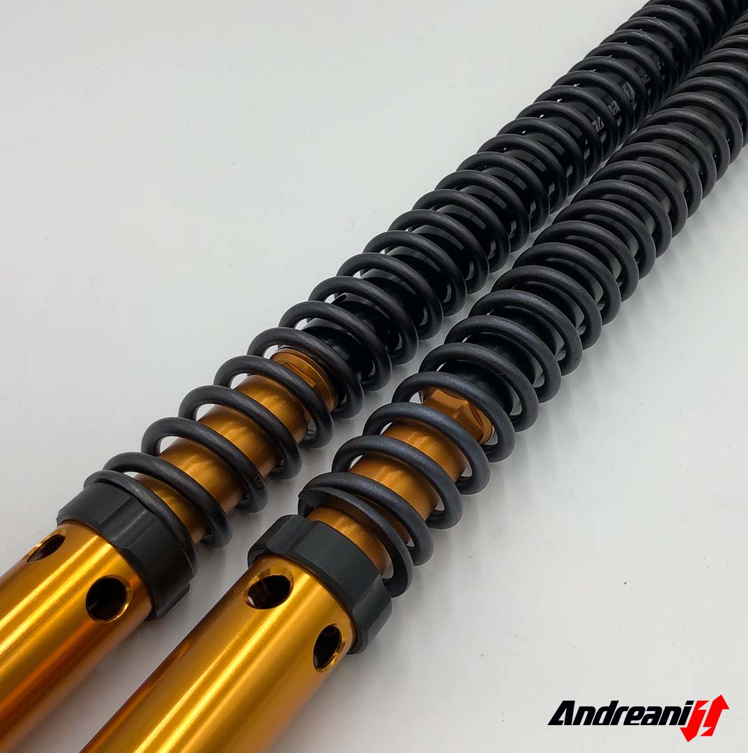 ANDREANI:125/KT01