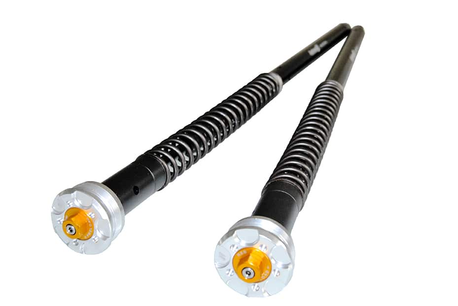 ANDREANI:305/Y57E – Andreani USA