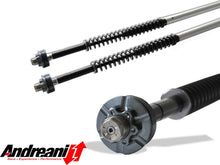 ANDREANI:110/HD1
