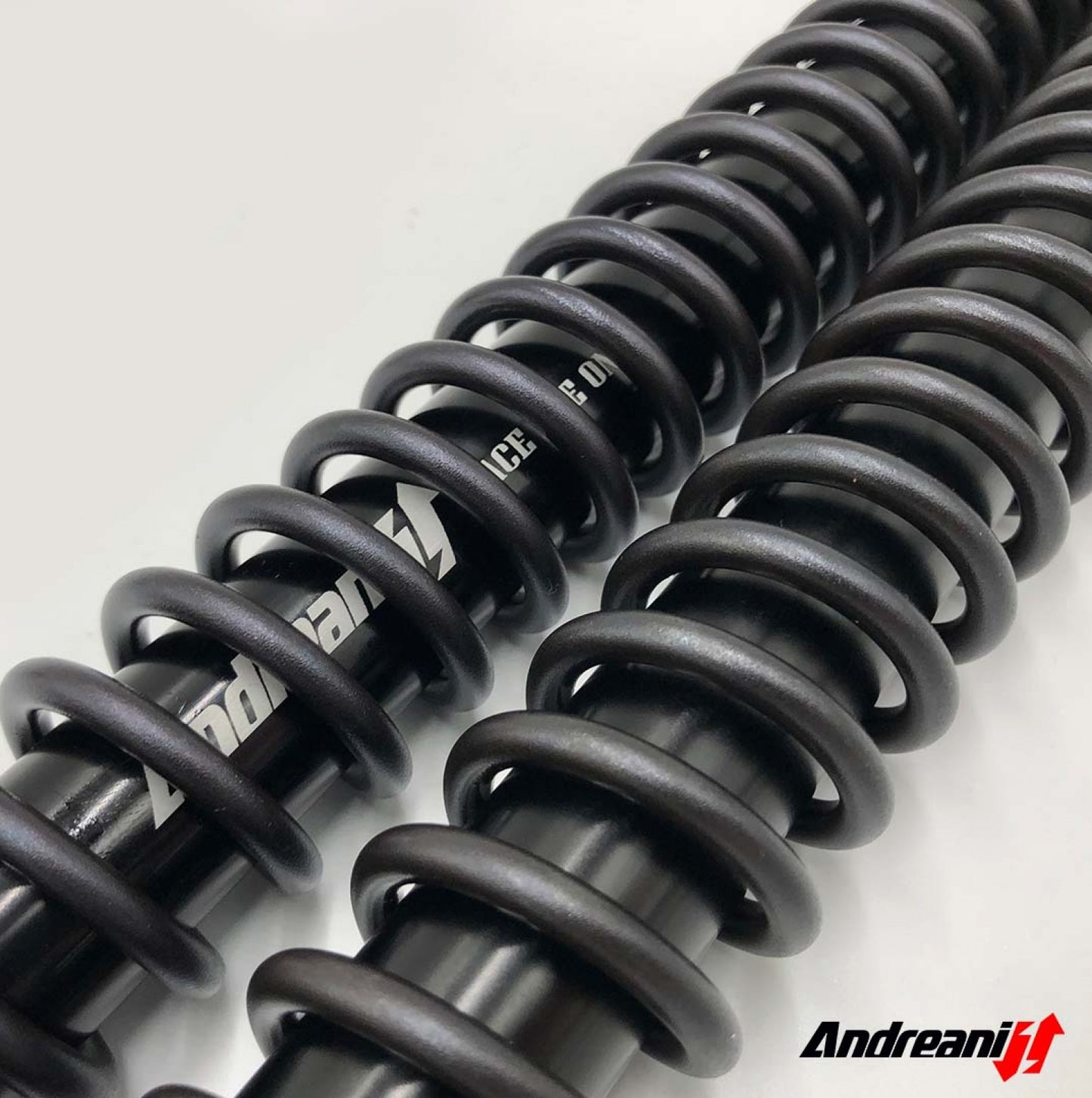 ANDREANI:125/W02