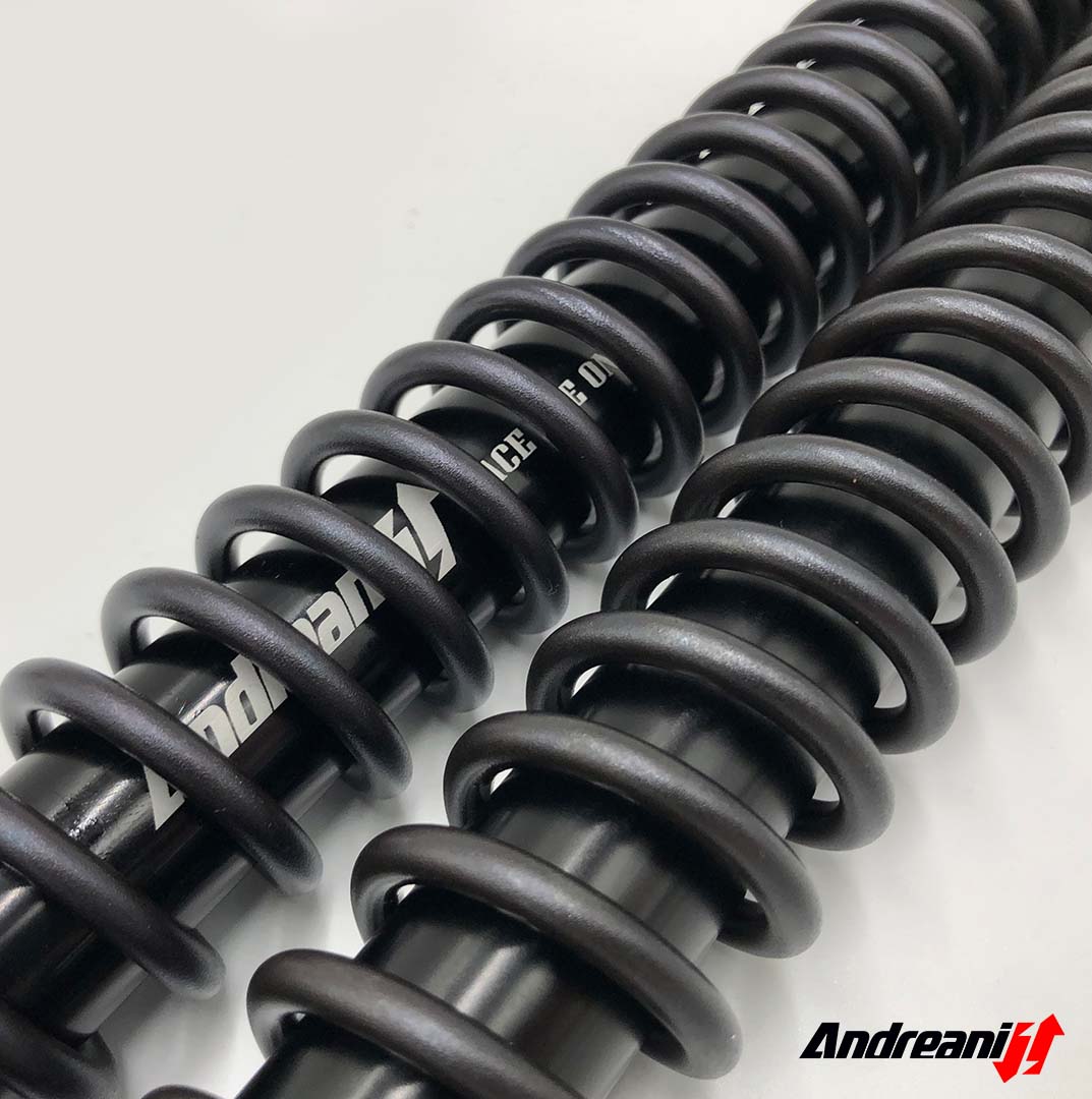 ANDREANI:125/KT03