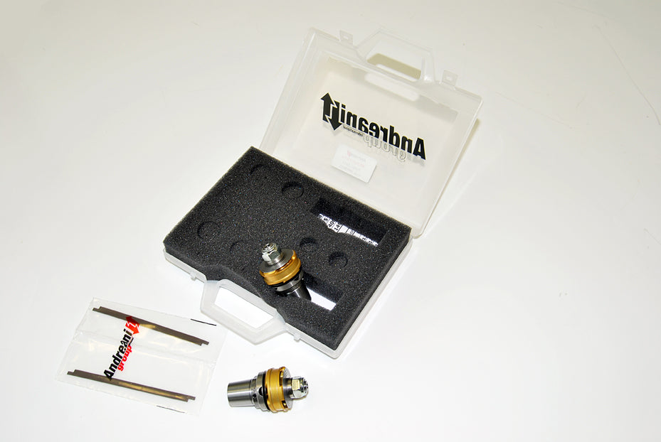 ANDREANI:409/A05
