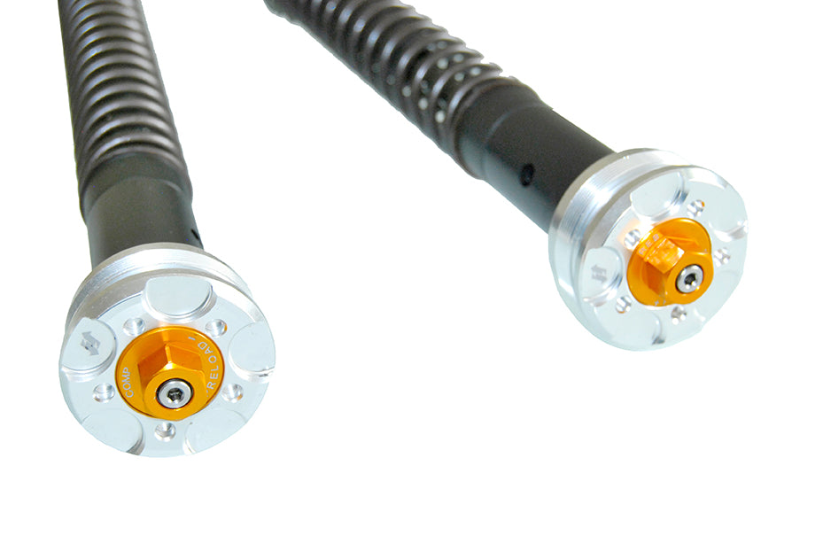 ANDREANI:305/H66E