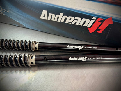 ANDREANI:110/HD16